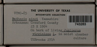 Image Associated With the Occurence